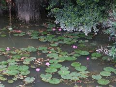 -南国桃园旅游度假区