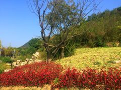 -贵阳市花溪国家城市湿地公园