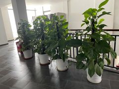 -深圳阿普萨拉斯酒店