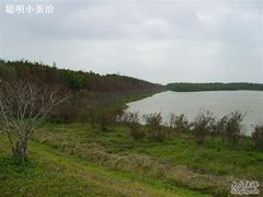-大湾区中央湿地公园