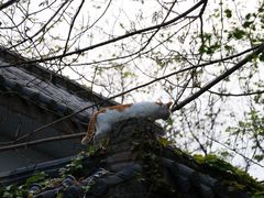-小陈方酥锅盔(古城总店)