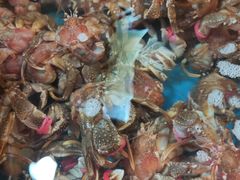-大连熟食品交易中心