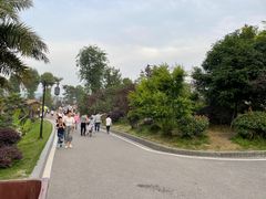 -枫香湖儿童公园