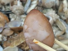 -四海鲜渔家菜(黄金海岸店)