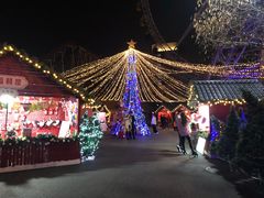 -锦江乐园舞狸花花游园会(夜场专享)