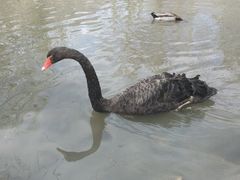 -新疆天山野生动物园