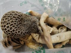 -洪记白水羊头(天坛店)