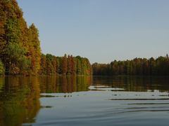 -上海海湾国家森林公园