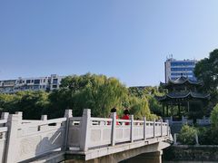 -孺子亭公园