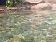 -天目湖涵田半山温泉