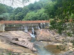 -广州白江湖森林公园