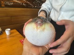 -永安鱼庄·镇江菜(三店纬五路店)