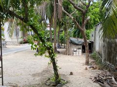 -三亚西岛海洋文化旅游区