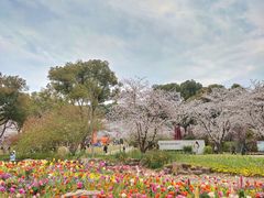 -苏州上方山国家森林公园