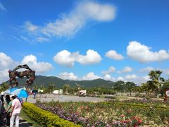 -亚龙湾国际玫瑰谷