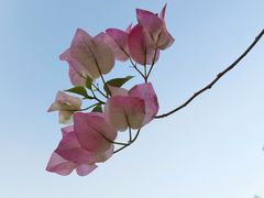-广州雕塑公园