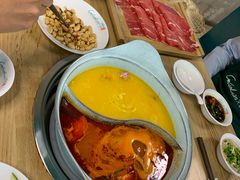 -青瓷火锅料理(西单大悦城店)