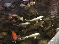 -山有花啡餐厅(常营总店)