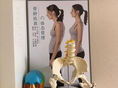 -修申骨雕小颜脊柱骨盆管理产后修复