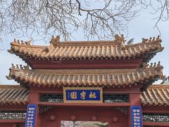 -桃花堤公园