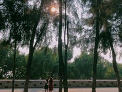 -宝安西湾红树林湿地公园