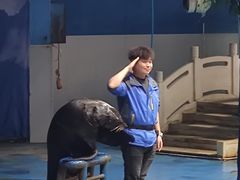 -苏州海洋馆