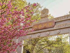 -石岛赤山风景区