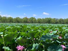 -南戴河国际娱乐中心