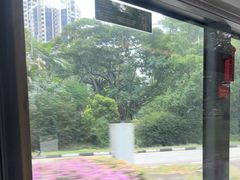 -东海岸人工湖美食村