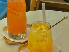 西柚米酿-滚猫咖啡·猫咖·猫友好撸猫(未来城店)