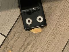 -肯德基(锦州万达店)