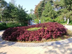 -回龙观体育文化公园