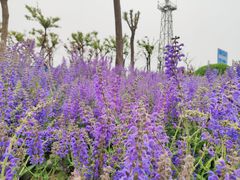 -东疆建设开发纪念公园