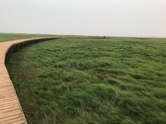 -鄱阳湖国家湿地公园