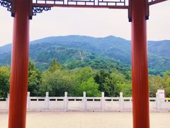 -北京西山国家森林公园