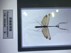 -上海昆虫博物馆