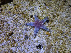 -多彩贵州城极地海洋世界