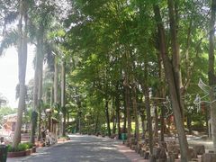 -揭东万竹园旅游景区