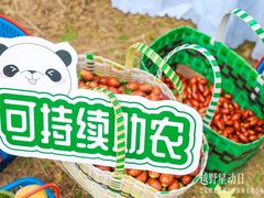 -奔驰北京鹏龙星徽(西大望路店)