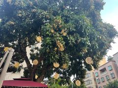 -泰堤坊(淡水体育馆店)