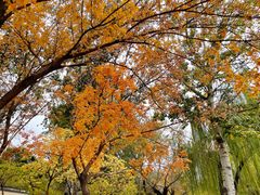 -元大都城垣遗址公园