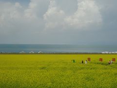 -青海湖国家重点风景名胜区