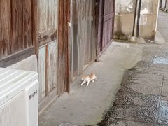 -前童古镇