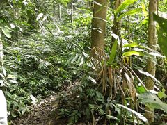 -西双版纳基诺山寨