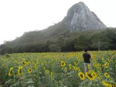 -七珍佛山