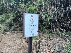 -敬亭山风景名胜区