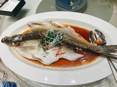-顺德喜来登酒店·采悦轩