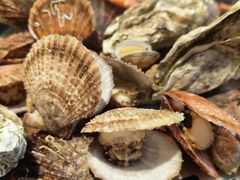 -大锅强·蒸海鲜青岛菜(金沙滩店)