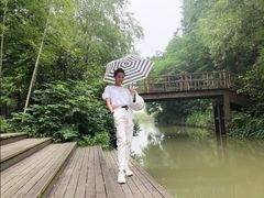 -同里国家湿地公园