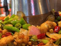 -蛙麻蛙辣炭火蛙锅(南环大街店)